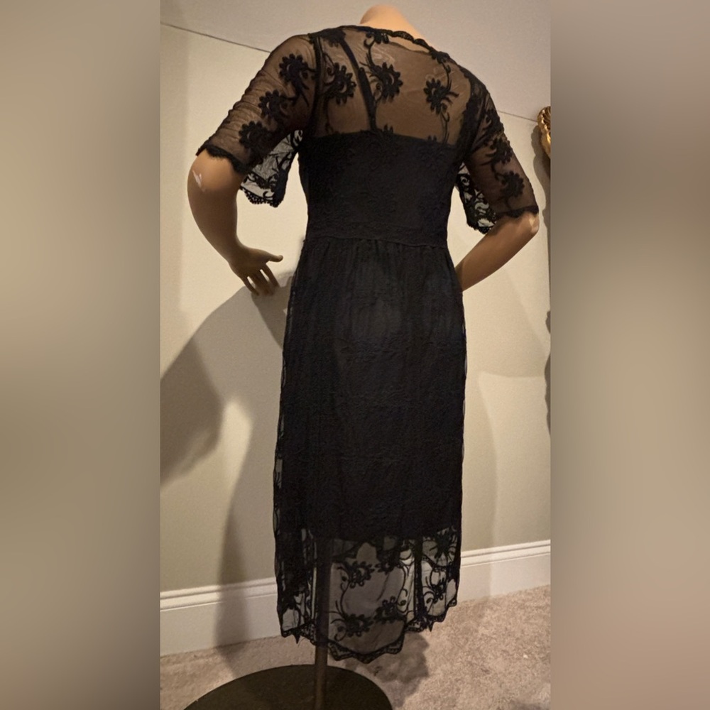 Sheer Black Embroidered Lace dress with mini slip;